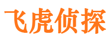 夏河市私家侦探